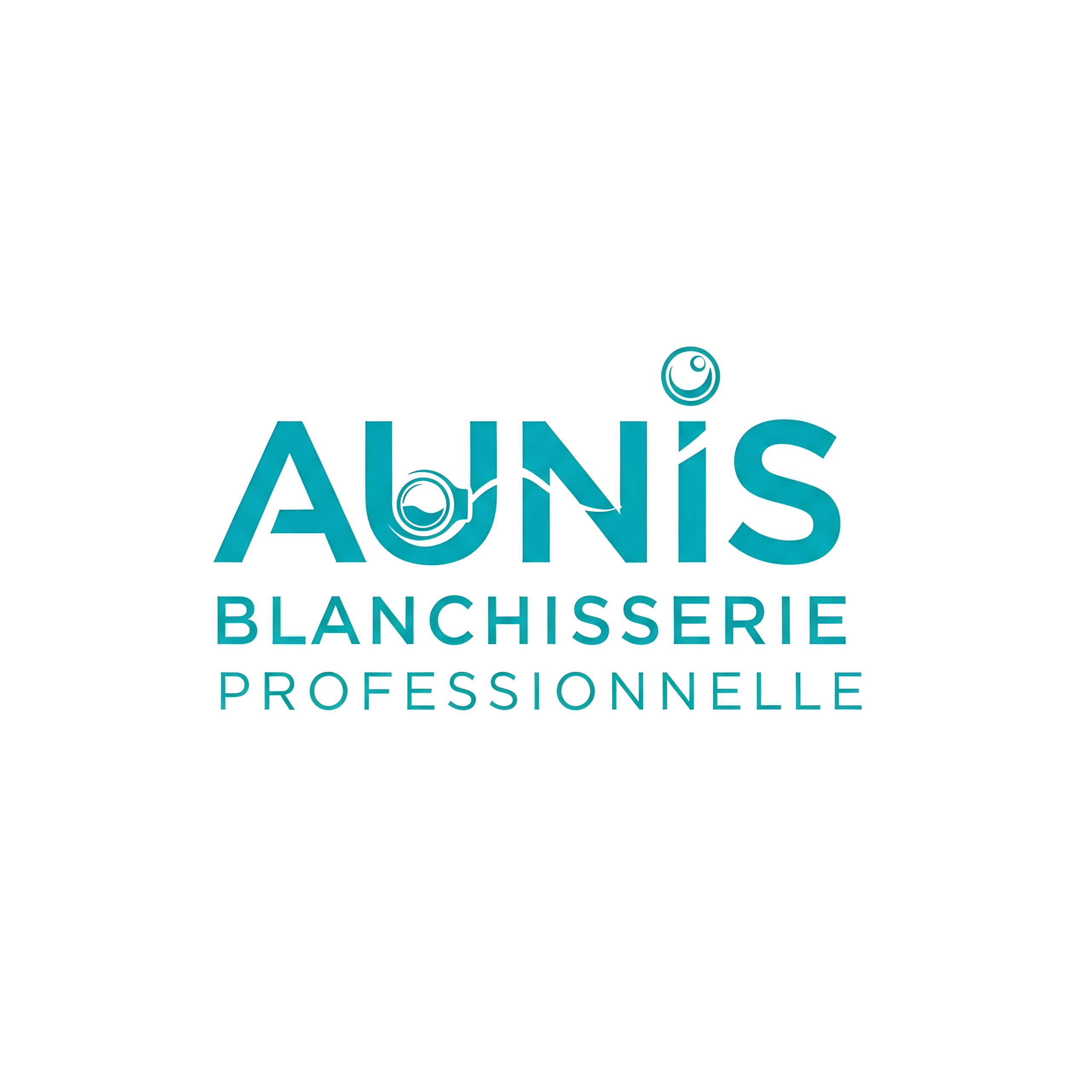 AUNIS BLANCHISSERIE PROFESSIONNELLE